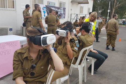 סימולציית