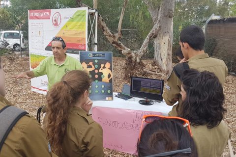 סימולטור